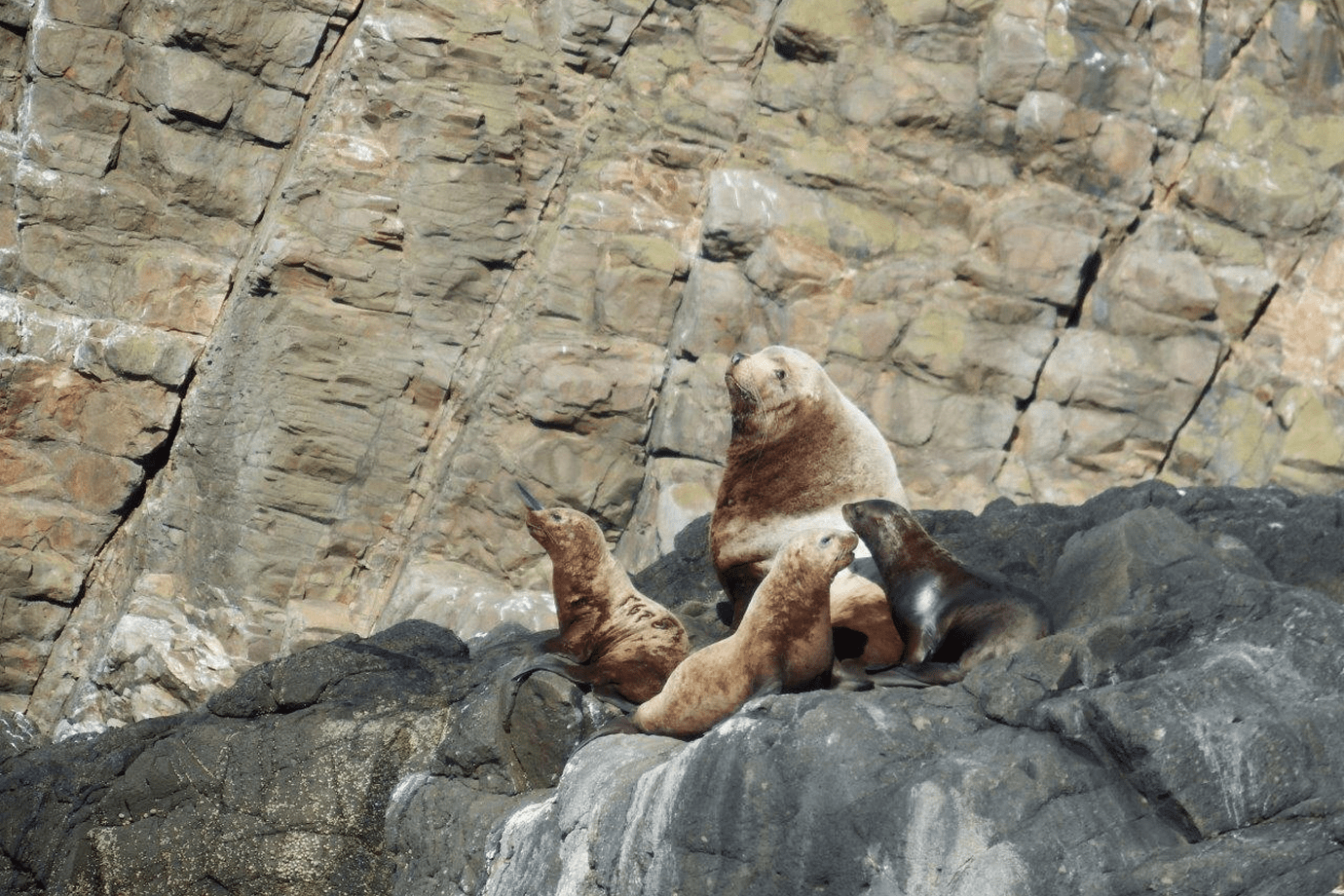 小樽国定公園クルーズ