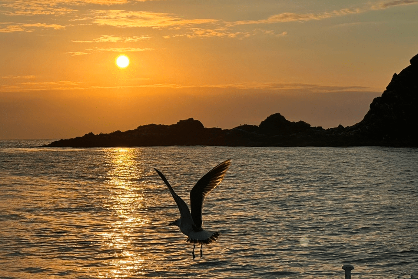 サンセットクルーズ