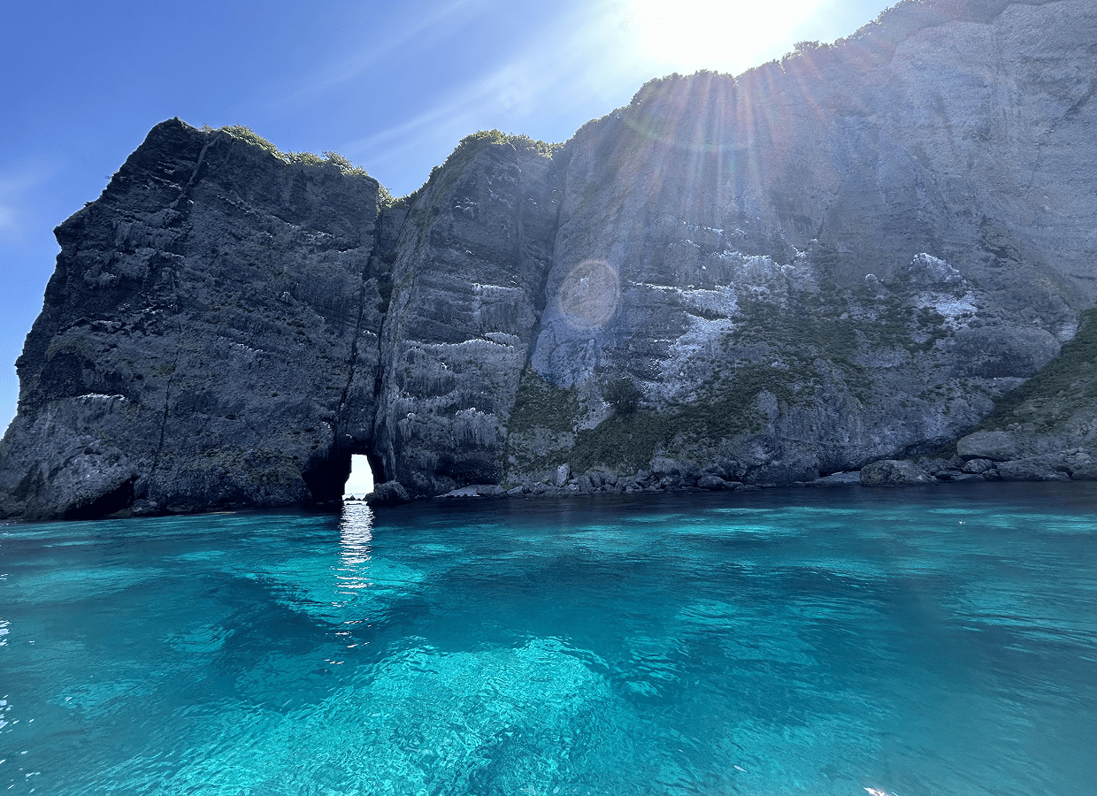 大型船では感じられない海岸線