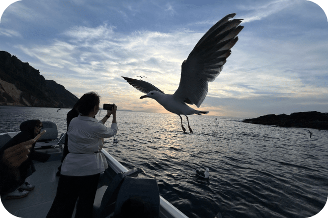 小樽クルーズツウセン