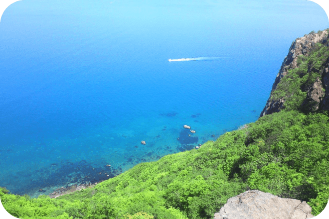 小樽クルーズツウセン