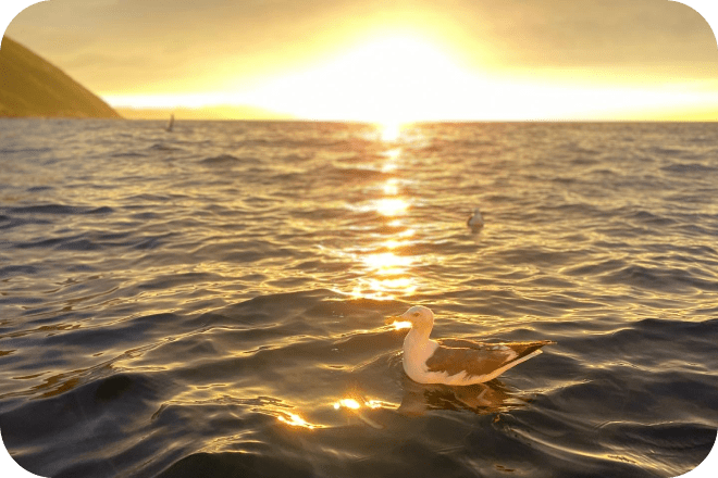 小樽クルーズツウセン