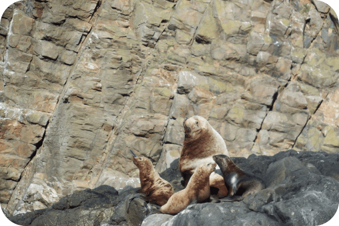 小樽クルーズツウセン