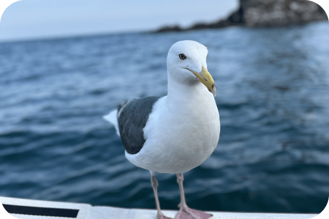 小樽クルーズツウセン